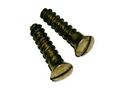 Argentine 1891 Buttplate Screw, Set of 2