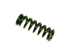 Argentine 1891 Sear Spring